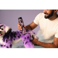 Andis Pulse ZR II Gabriel Feitosa Kedi/Köpek Tıraş Makinesi (Yedek Bataryalı)